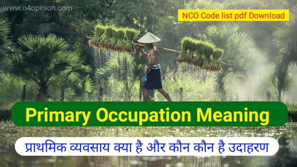 primary occupation meaning kya hai hindi nco code list